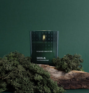 Skog (Special Edition) ~ pine needles, fir cones